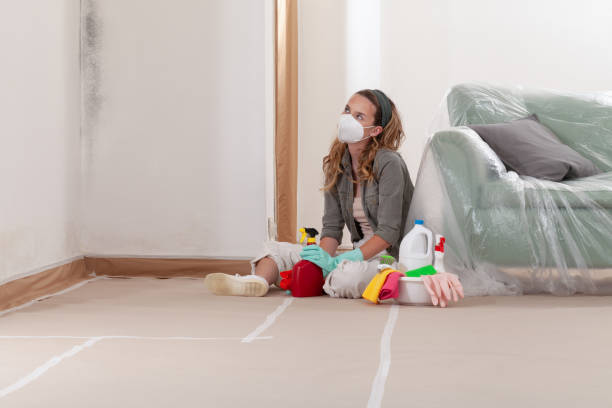 Reliable Basement Mold Removal contractor in Richland, MI by WQB Mold Removal